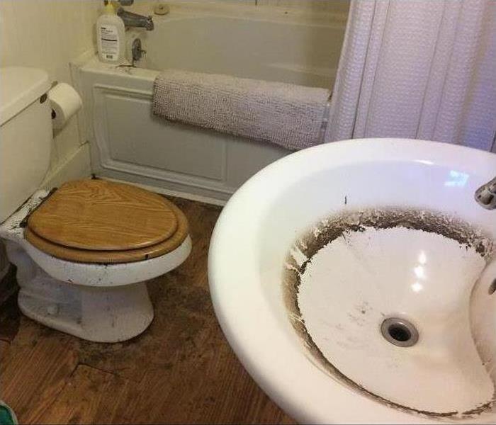 Toilet and sink with sewage rings