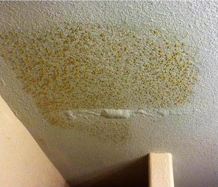 Ceiling Water Damage