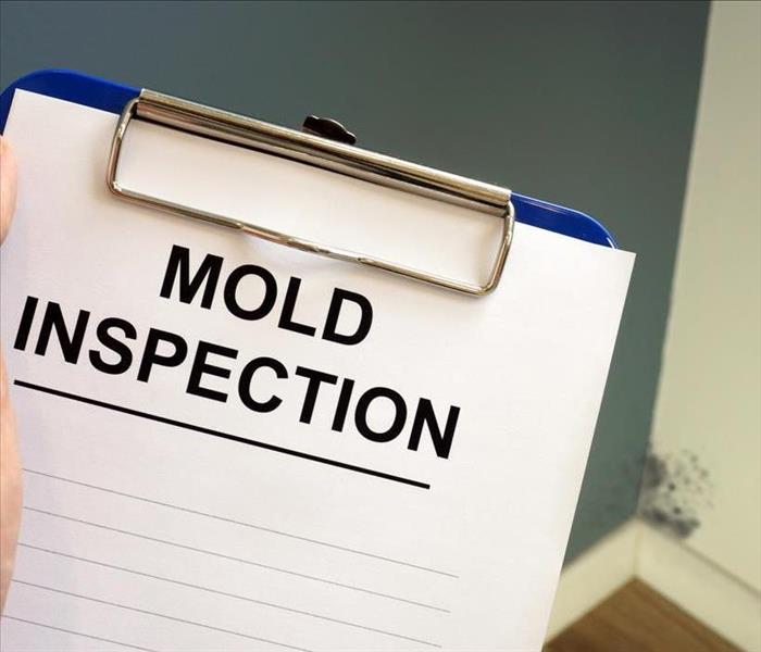 Image of a mold inspection form