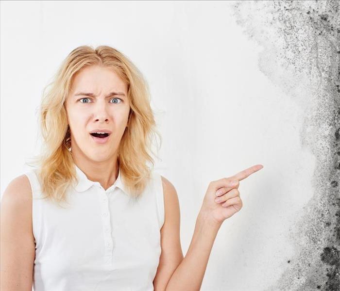 Image of a person pointing at a mold damage on white wall with a face of disgust