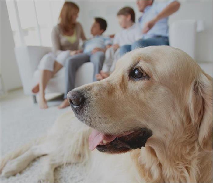 Image of a dog and behind the family members sitting on a couch 