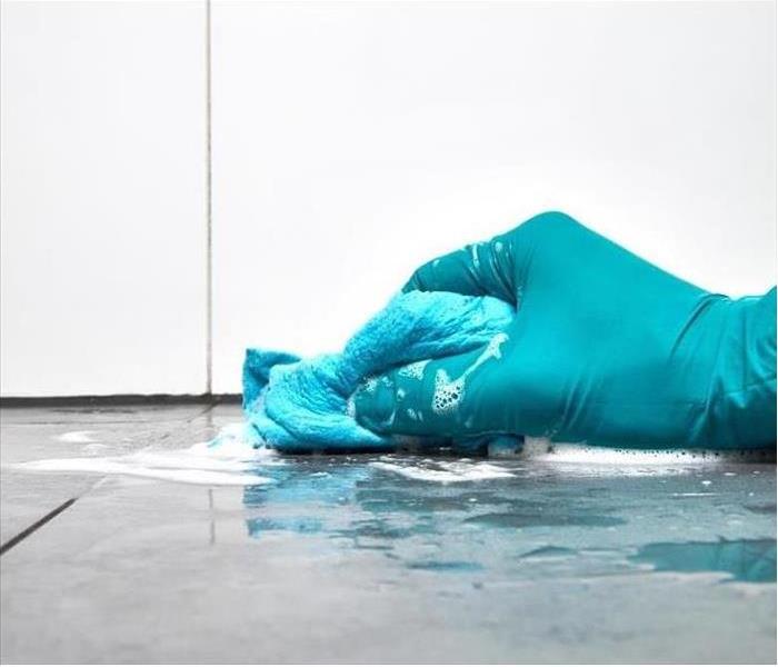 Image of a person cleaning with gloves on. 